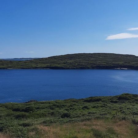 Conneelys Cottage, Connemara, Clifden, H71Y096 Ngoại thất bức ảnh